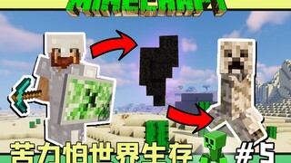 苦力怕世界生存 我的世界 #5