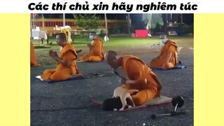 CÁc thí chủ xin hãy nghiêm túc #haihuoc #funny