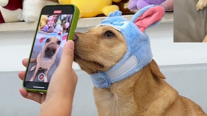你们想看的第三视角来啦！