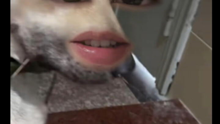 West Coast pup: I've never experienced such humiliation in my life—M3?