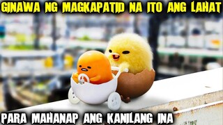 Munting Itlog Na Napisa Ng Maaga, Ginawa Ang Lahat Para Mahanap Ang Kanyang Ina