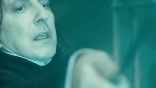 哈利波特里隐藏最深的人，一直暗中守护哈利