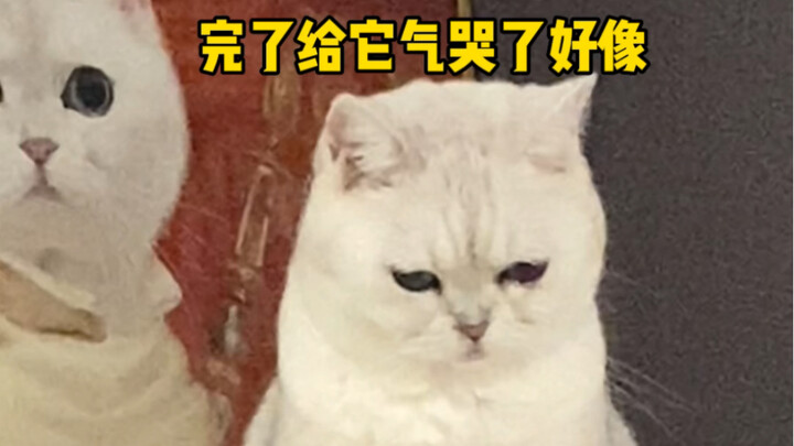 So bad at the game yet still can’t stop playing… Doesn’t help me, then acts all wronged and throws a