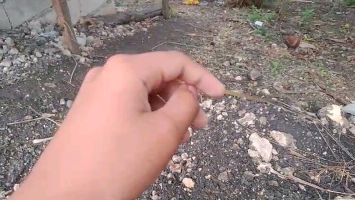 TCSN Pressure: Steve Neil Today Bally (Episodes 4)