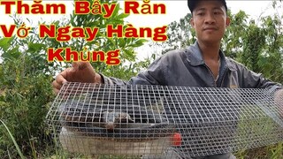 P1. ToànQN Hành Trình Thăm Bẫy Rắn | Săn Bắt Ẩm Thực Vùng Cao | ToànQN