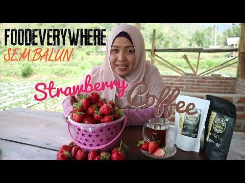 MAMPIR NGOPI DI SEMBALUN SAMBIL PANEN STRAWBERRY | Kopi Juang | Asli Lombok | Rest area Sembalun