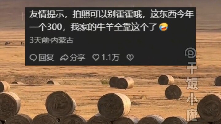 Are you saying this “Prairie Swiss Roll” costs 300 each?!