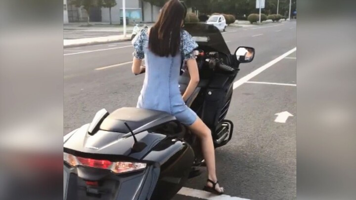 【Shrimp Catcher】Old driver, hop in!