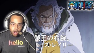 Gold Roger's VICE CAPTAIN?! | One Piece Episode 394 Reaction