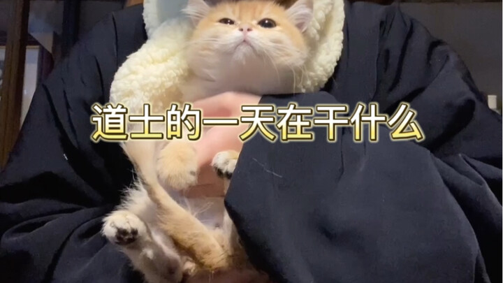 ชีวิตประจำวันของนักพรตสมัยใหม่เป็นอย่างไร