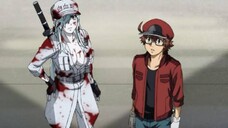 Ketika Sel-sel Manusia jadi Cerita Anime