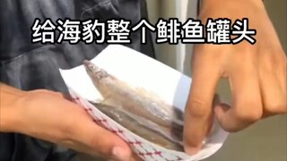 海豹 : 饲养员，这里有人喂屎！！