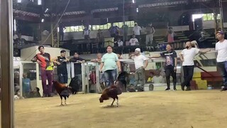 Mejo..malaki kalaban.ng nokkez. Ko..