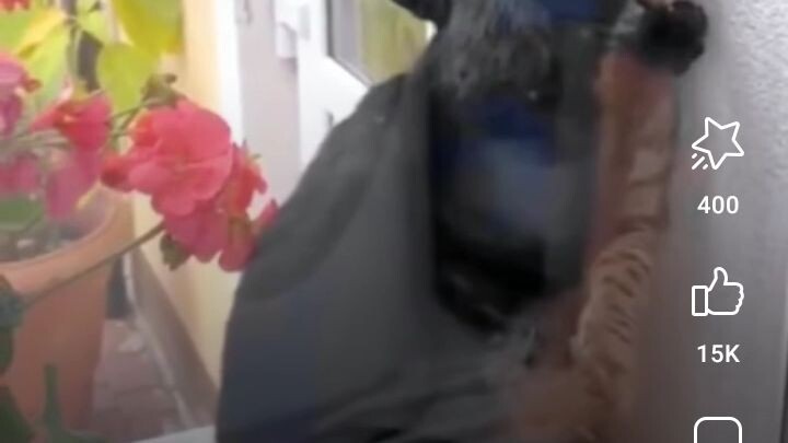 i love you pussy❤️❤️❤️