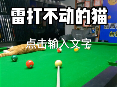 小橘子你是真不动弹啊