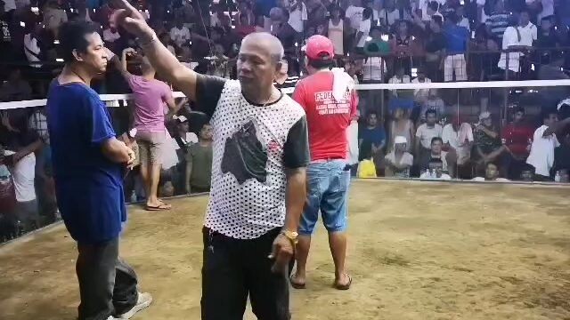 OLD oLd Cock GoLden KeLso