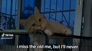 sad