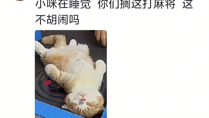 If only the winner gets to pet the cat, does that make losing even worse?
