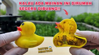 BEBEK LUCU yang MENGERIKAN.. ZOOM 1000X Bacteria Legionella