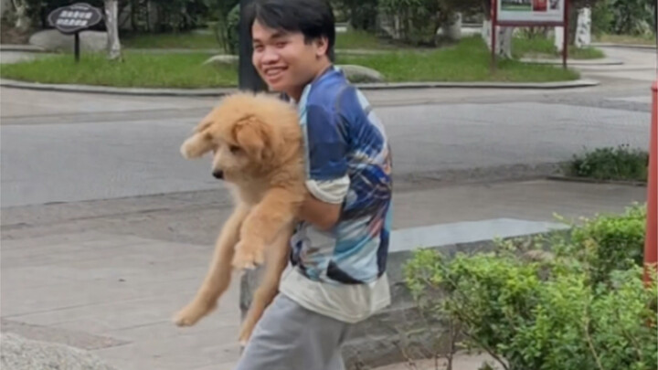 The Chinese server's Mozi has found the golden retriever.