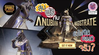 สุ่มชุด Anubian Magistrate ตำนานเทพเจ้า กับความฟรีอีกแล้ว?