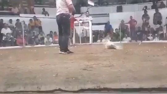 BOSS BOB1 2nd fight win using mcleanleiper x whites march 2, 2024 igay cockpit