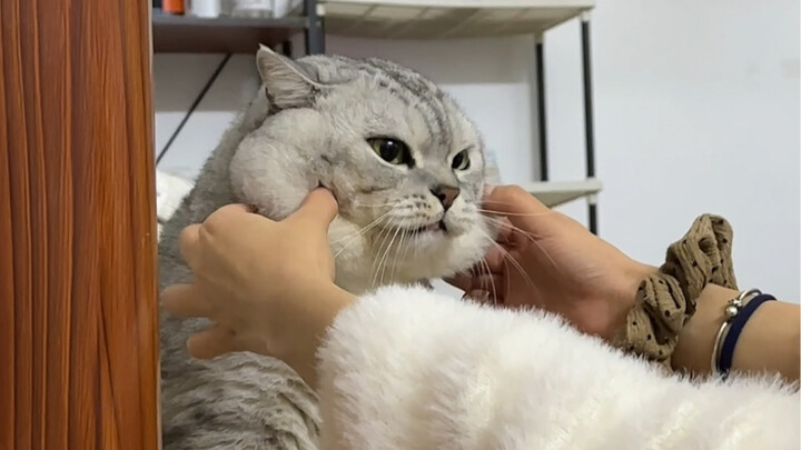 خالة الصغير بتساوم الكبير تشيانتشوانغ تاني.