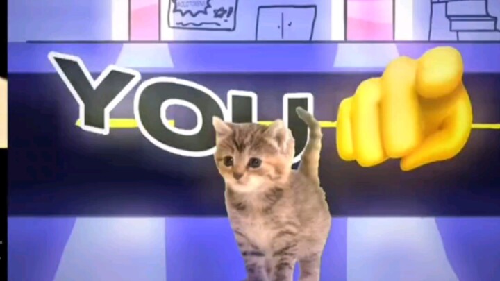 แมวน้อยขี้เซ้าหวังว่าคุณจะสบายใจขึ้นบ้าง