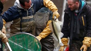 城市运河抽干 里面有什么