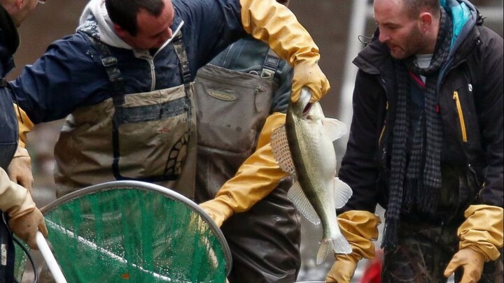 城市运河抽干 里面有什么