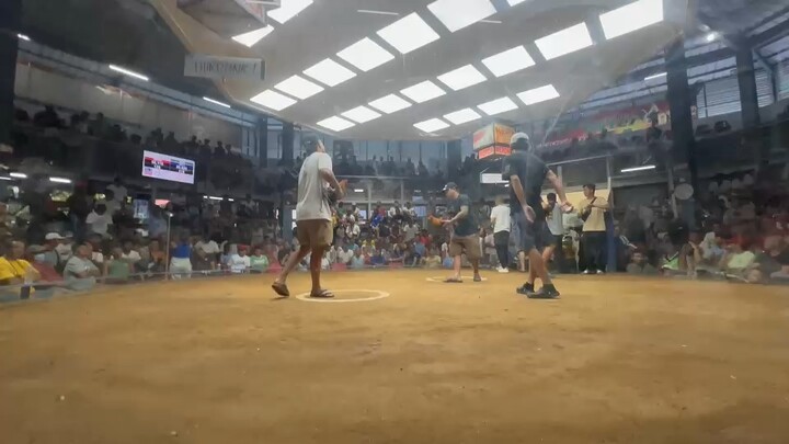 TL Sweater stag (win) Bustos Coliseum