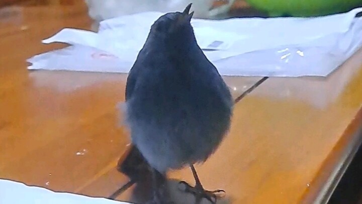 คูน้ำที่ชอบด่าเวลาเปิดไฟตอนกลางคืน