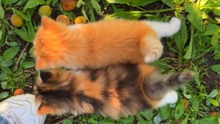 نحن الاثنين الأفضل والأروع في العالم!