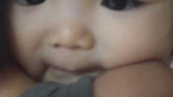 Koko-chan at 11 months old