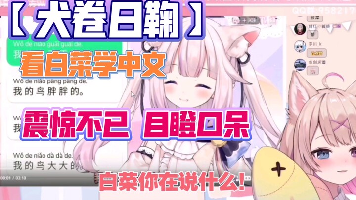 [Inujuan Hinami] Silly dog Juanjuan was stunned by watching Japanese lolita learn Chinese!
