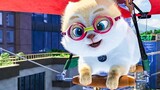 Watch Full CATS (2020) Movie ( Eng Sub - 720P ) For FREE - Link In Description