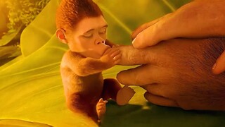 ลิงคลั่งไคล้วิวัฒนาการของมนุษย์
