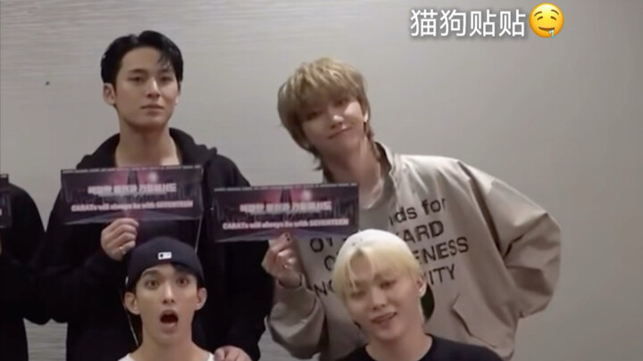 【Kui Ba】Membawa pengertian sempurna tentang bagaimana seorang Tiongkok yang selalu bersikap tertutup