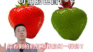 Màu đỏ bạn thấy có giống với màu đỏ tôi thấy không?
