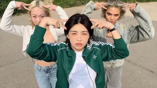 Chú mèo hip-hop nhất thế giới đi dạo trên sông Hàn đóng băng🐈🐱Aiki X Kristen X Ling