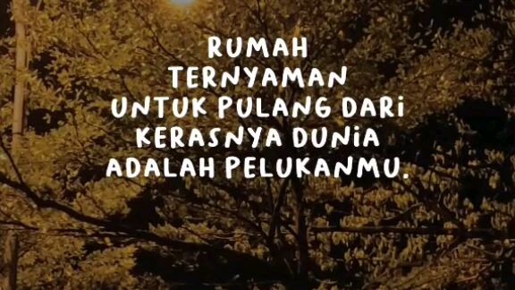 stry wa