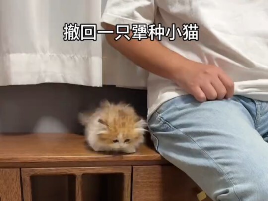Minut keeps trying to jump off and has to be dragged back by you.