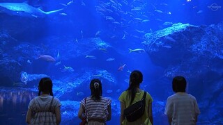 班级出游大巴坠落山崖，幸存者几人终于等来了救援《Limit》大结局