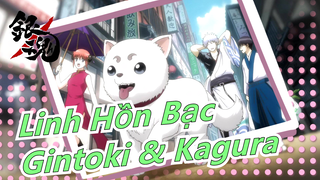 [Linh Hồn Bạc/Sadaharu/Gintoki & Kagura] Chàng trai đó có vẻ cũng thích nó lắm