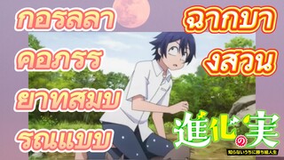 [The Fruit of Evolution]ฉากบางส่วน |กอริลลาคือภรรยาที่สมบูรณ์แบบ