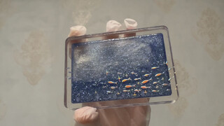 【Made with homemade Liuma】Swimming fish