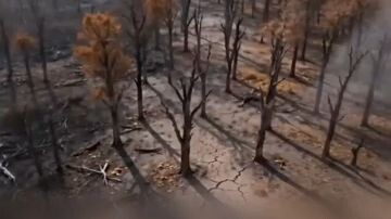 terjebak di zaman kekacauan