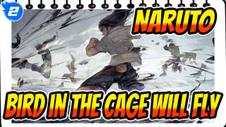 NARUTO  【AMV】Hyuga Neji-The bird in the cage will eventually fly_2