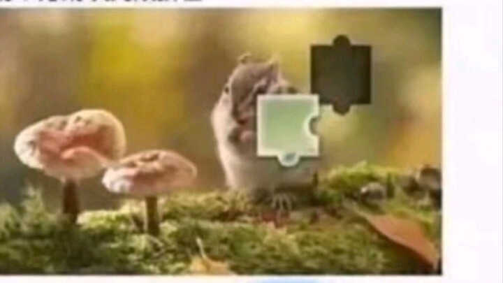 มีมนี้ไม่ใช่สิ่งชั่วร้ายเลย