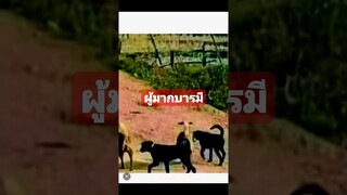 ผู้มากบารมี #funny #reels #awesome #คลิปตลก